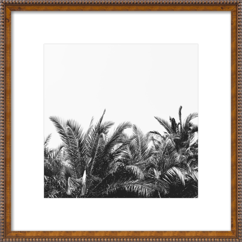 Palm Breeze by Alicia Bock for Artfully Walls - Image 0