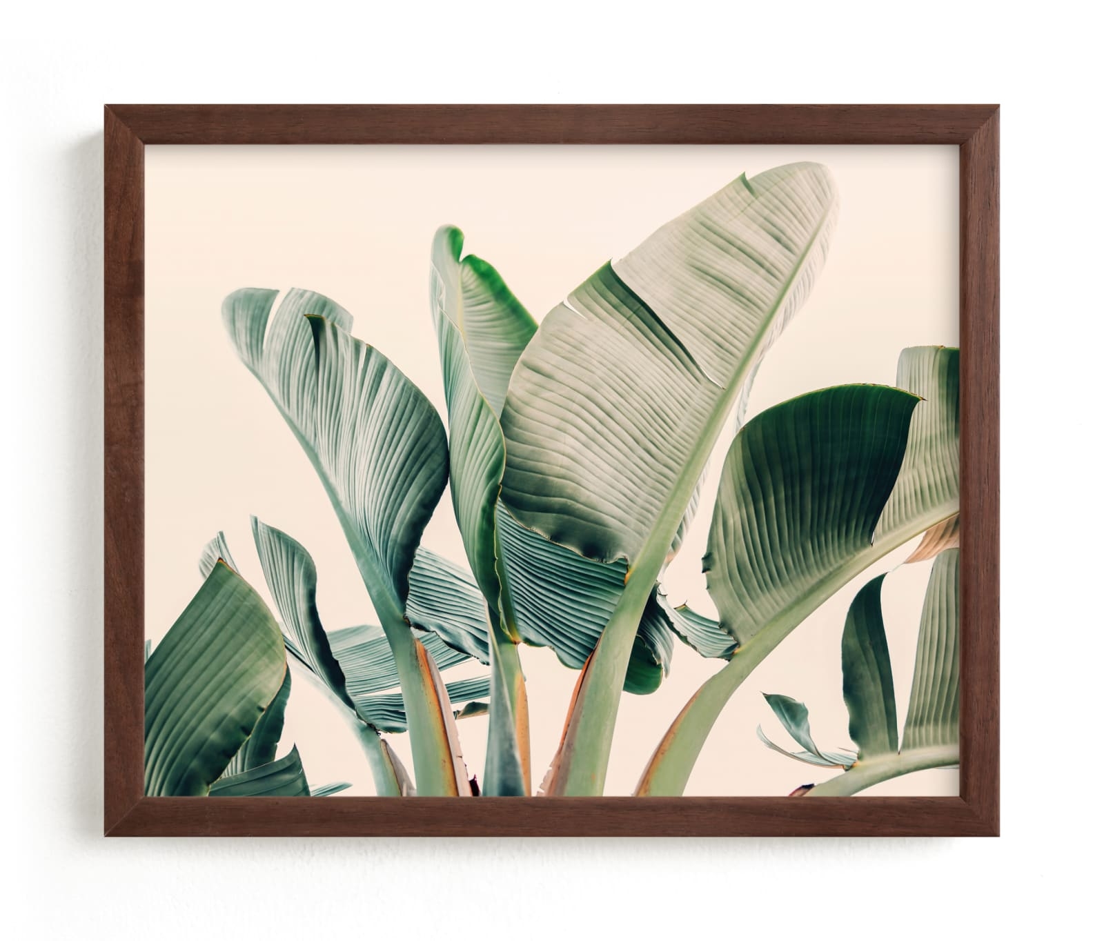 Bending To The Sun Limited Edition Fine Art Print 2 - Image 0