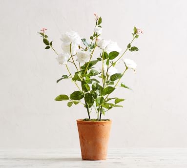 Faux Potted Roses, White - Small - Image 3