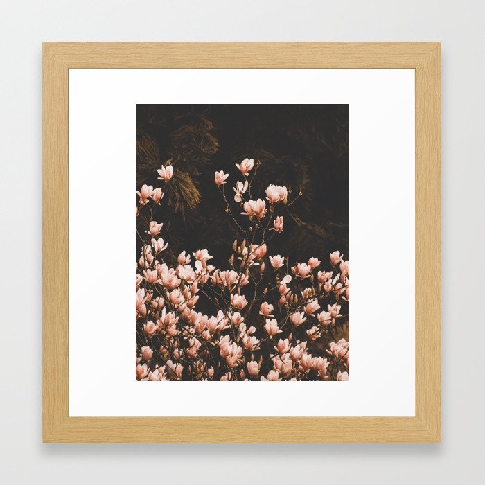 Blush Pink Magnolia Flowers Framed Art Print by Ingrid Beddoes Photography - Conservation Natural - X-Small-12x12 - Image 0