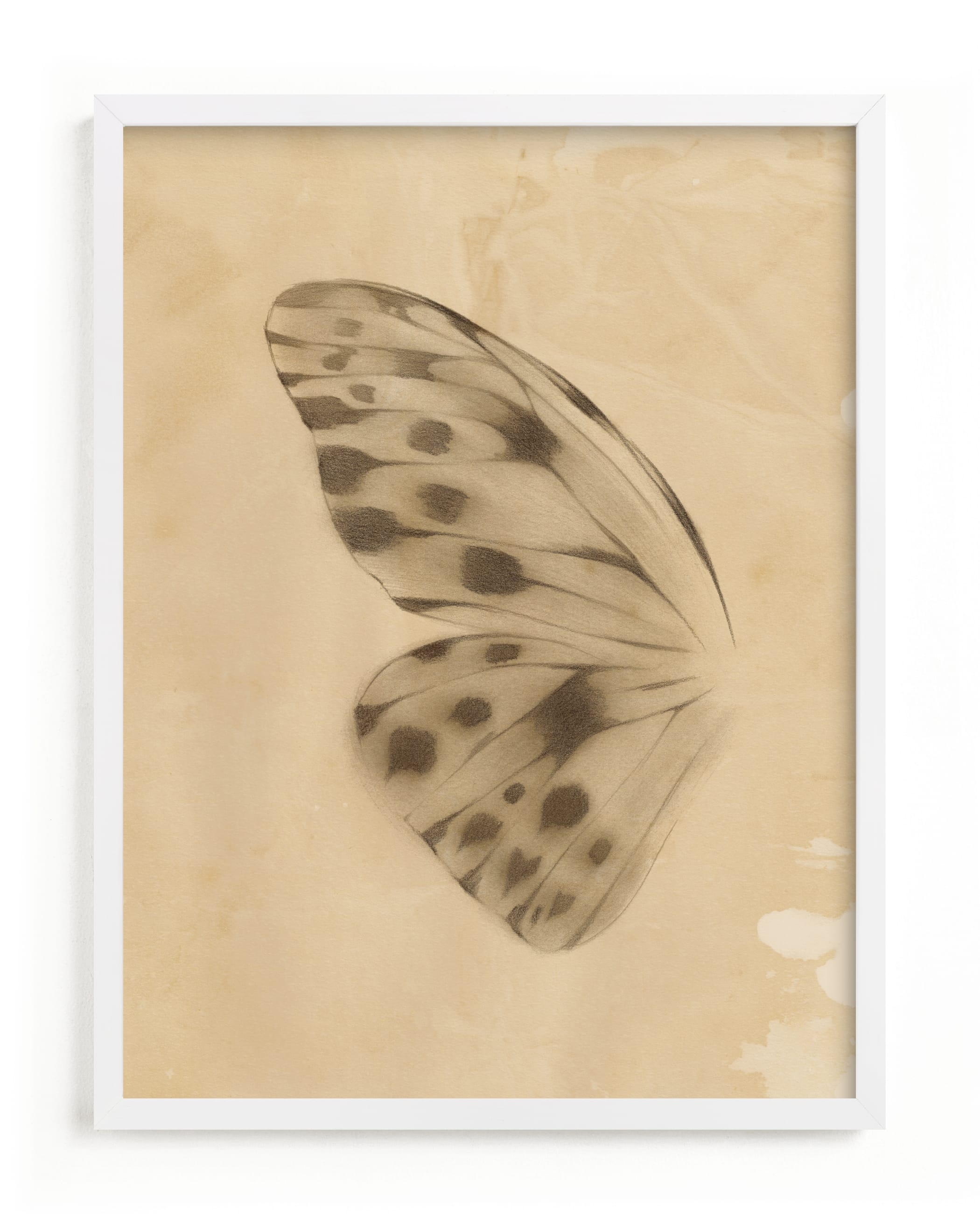 Vintage Mariposa I Limited Edition Fine Art Print 2 - Image 0
