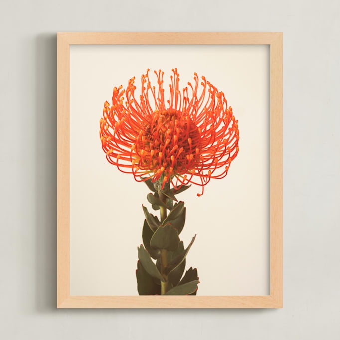 Protea I Limited Edition Fine Art Print 2 - Image 0