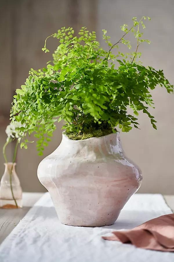 Asymmetric Glazed Terracotta Planter - Image 0