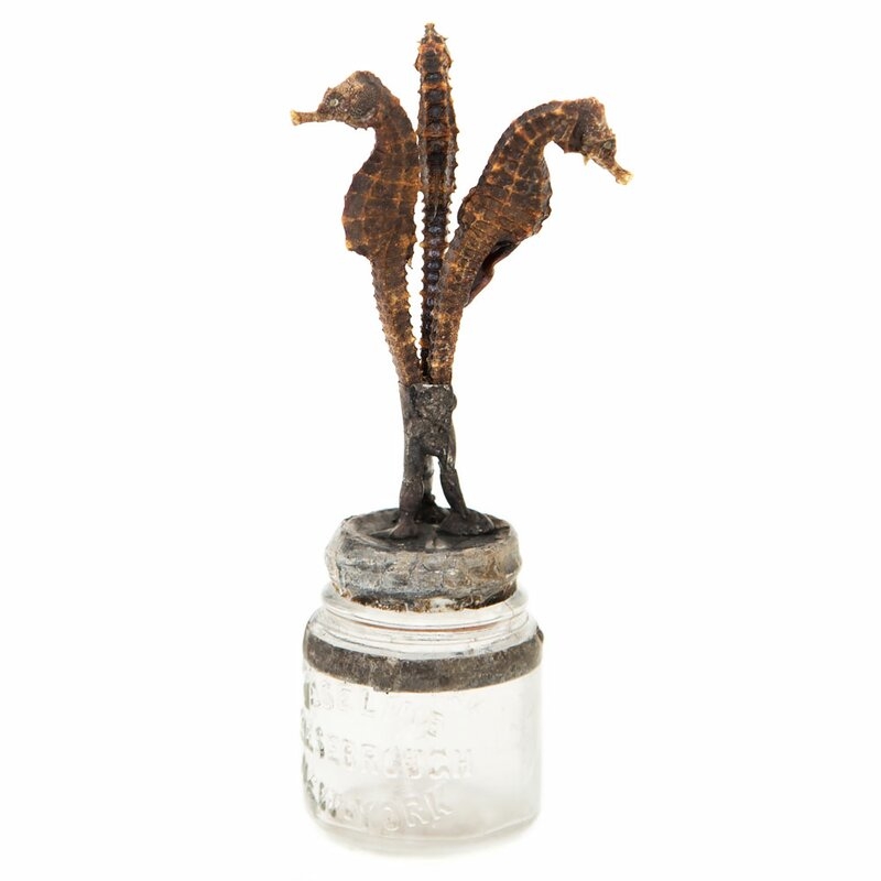 Jamie Dietrich Seahorse Brown/Clear Crystal Decorative Bottle - Image 0