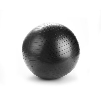 Exercise Yoga Ball - Image 0