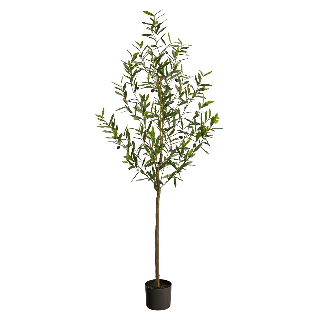 Faux Potted Olive Tree, 6' - Image 0