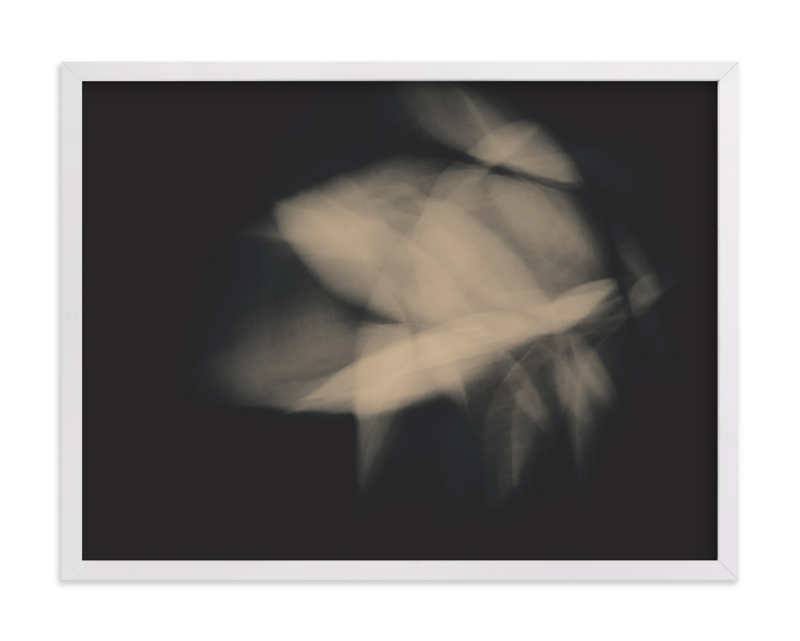 Flower Dance II Limited Edition Fine Art Print 2 - Image 0