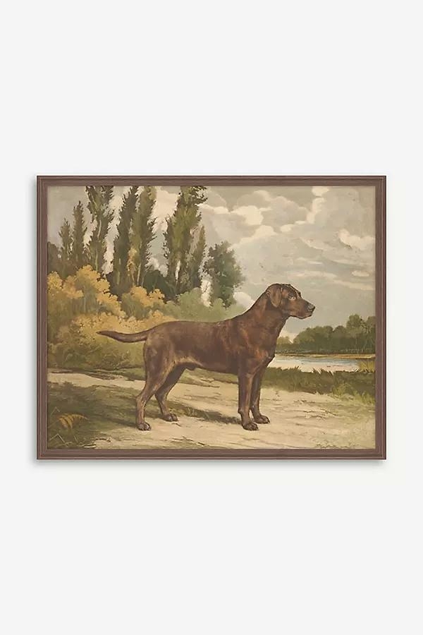 Setter Stance by Reuben Ward Binks Wall Art - Image 0