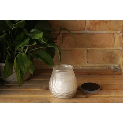 Color-Changing Polynesian Citronella Scented Jar Candle - Image 0