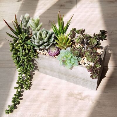 Faux Potted Succulents Centerpiece Succulent Garden - Image 0