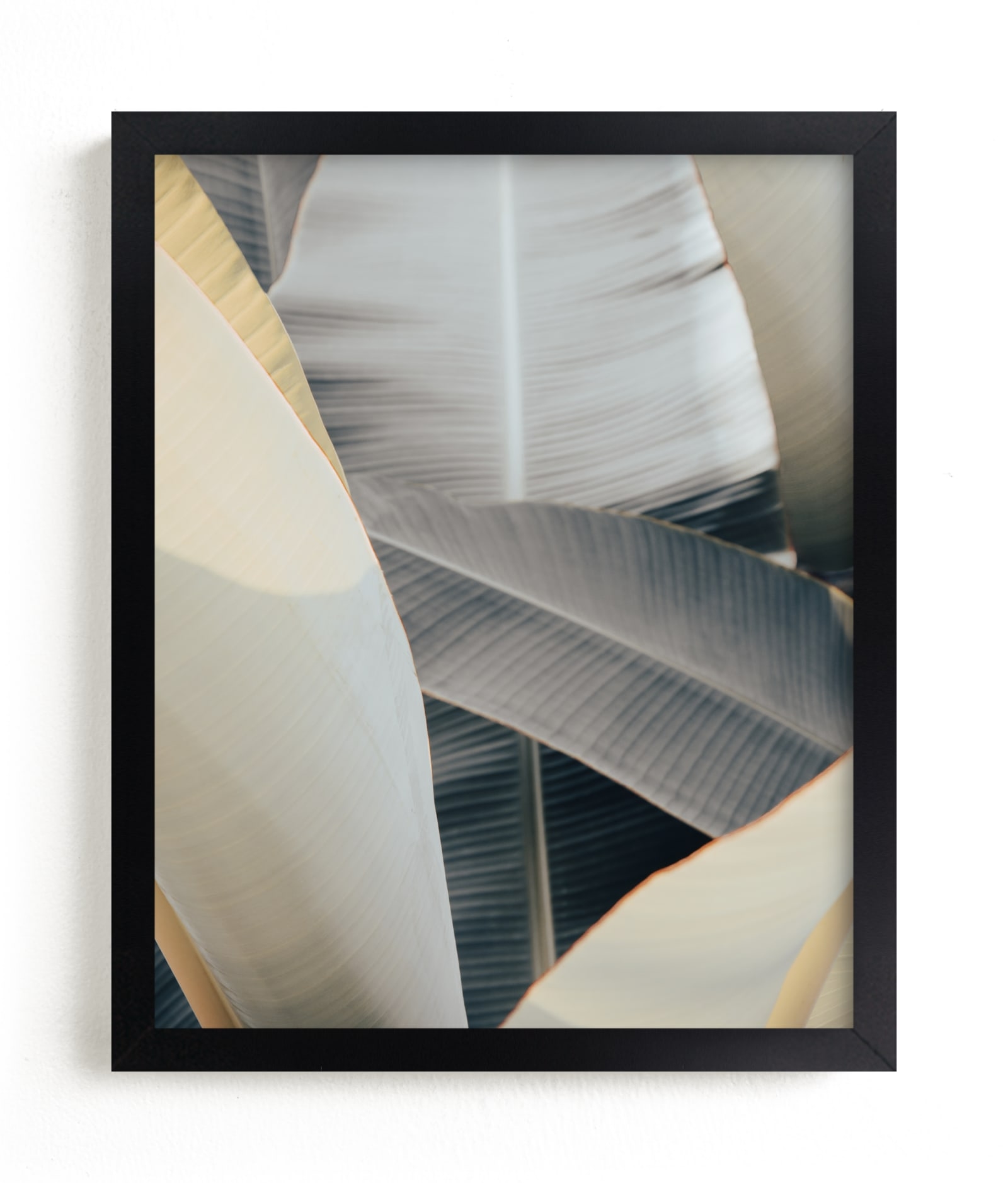 Metal Leaves Open Edition Fine Art Print - Image 0