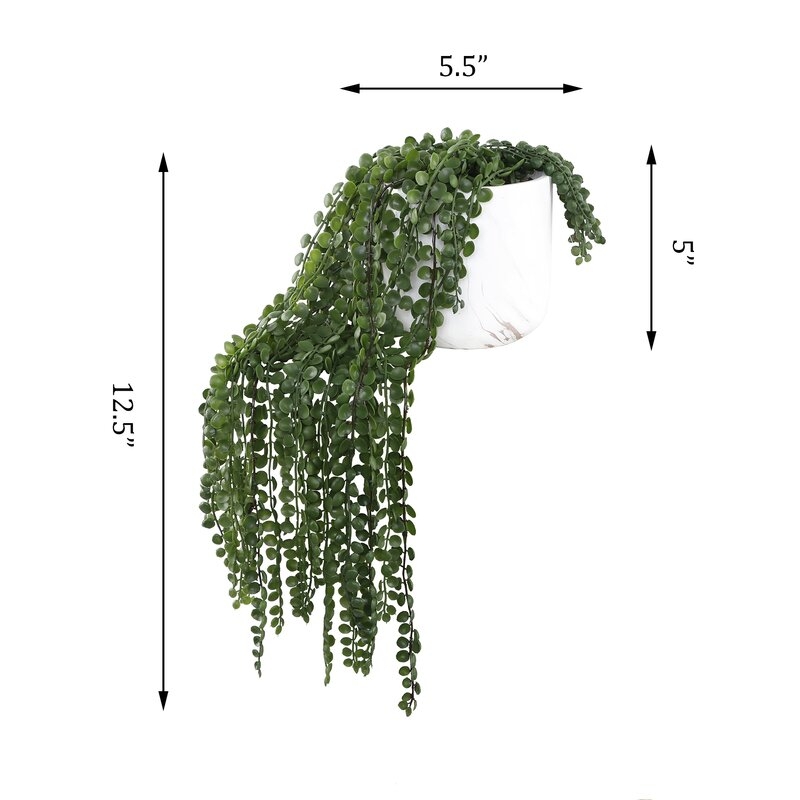 12.5'' Faux Succulent Plant in Pot - Image 3
