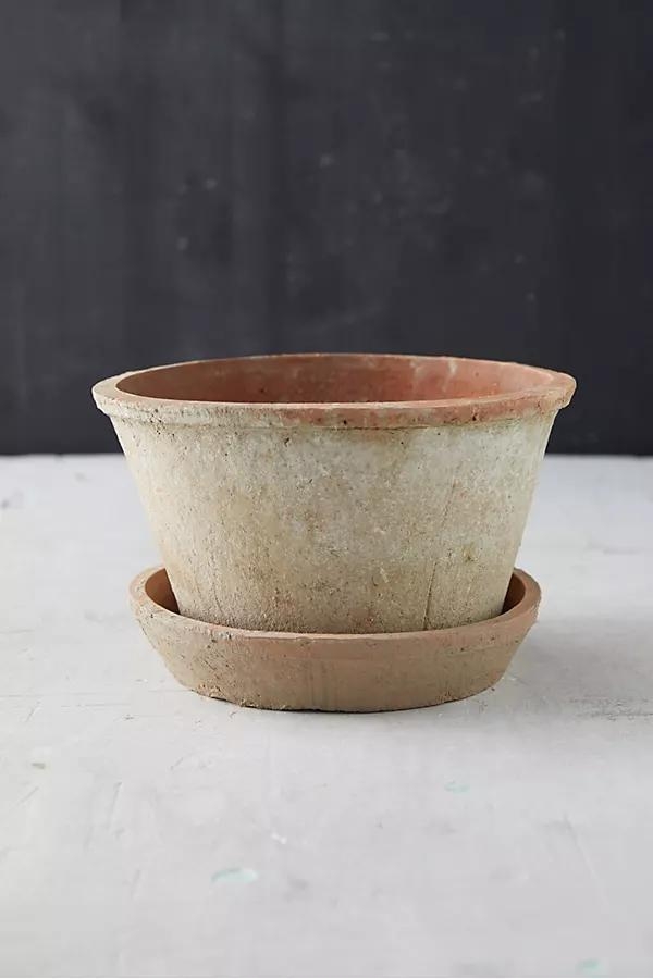 Earth Fired Clay Thin Rim Pot + Saucer Set - Image 0