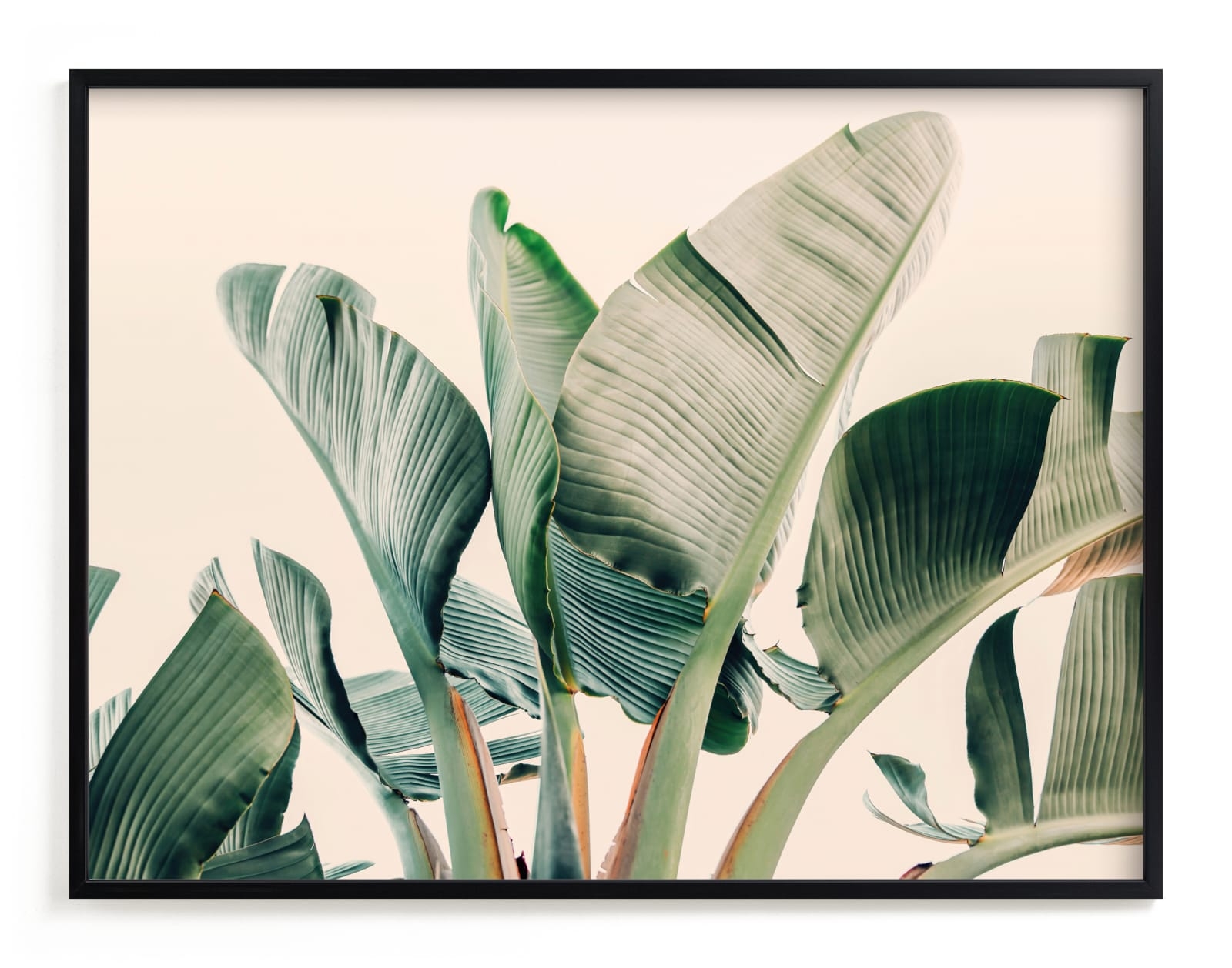 Bending To The Sun Limited Edition Fine Art Print 2 - Image 0