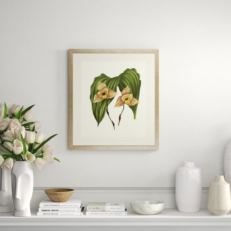 Art Virtuoso Orchids on Light Cream by Lucien Linden Framed Painting Print - Image 0