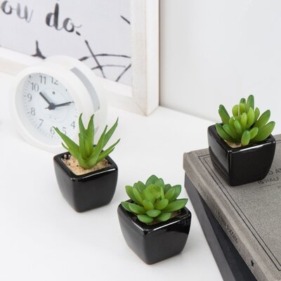3-Piece Artificial Succulent Plant In Pot Set - Image 0