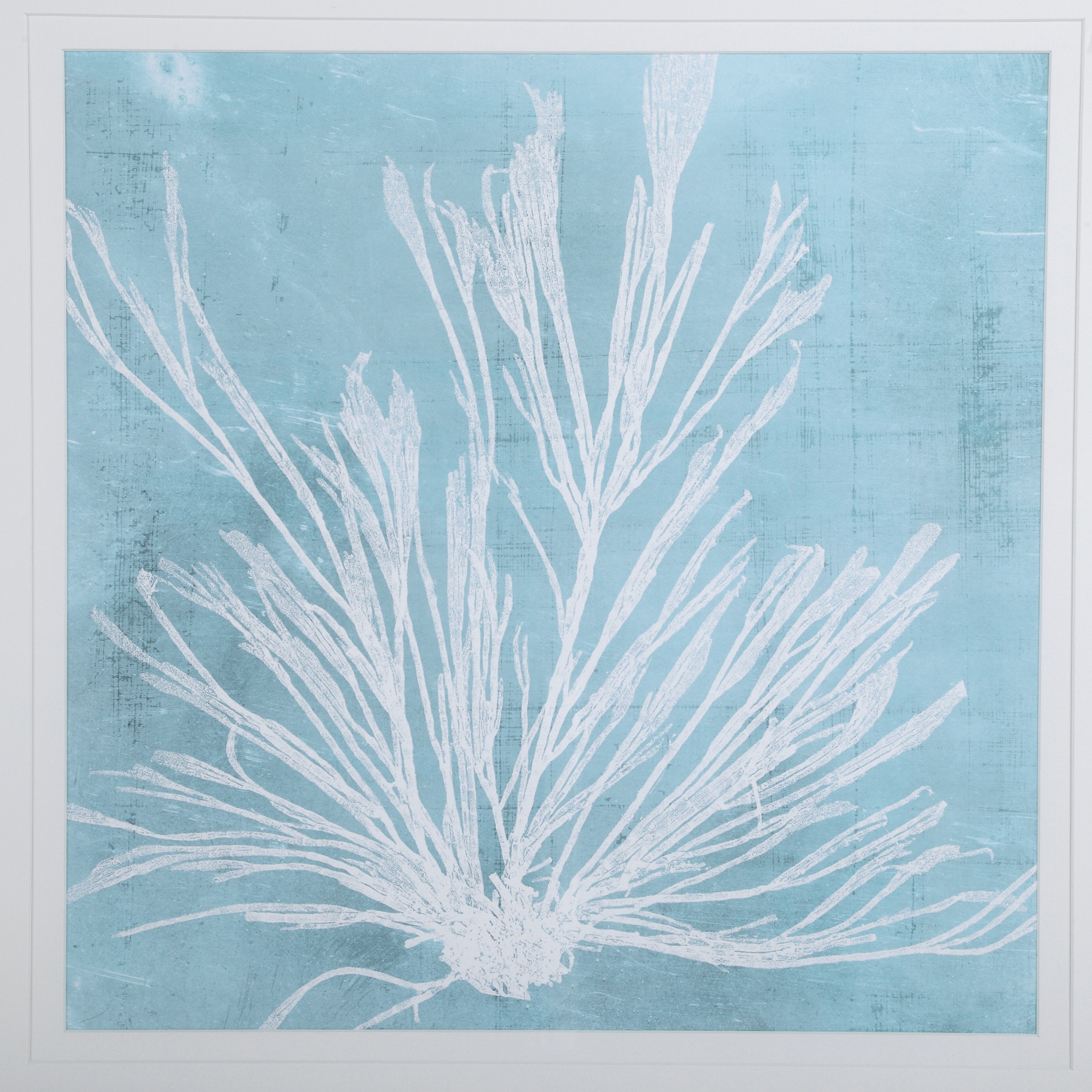 Seaweed On Aqua Framed Prints S/4 - Image 3