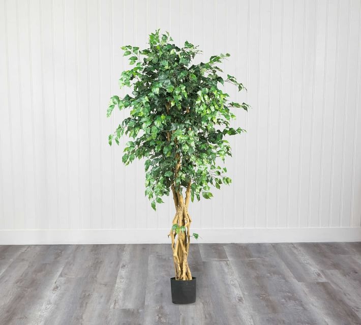 Faux Potted Palace Style Ficus Tree, 6' - Image 2