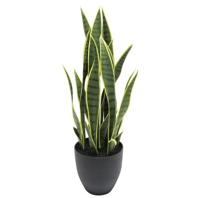Artificial Sansevieria Snake Plant in Pot - Image 0