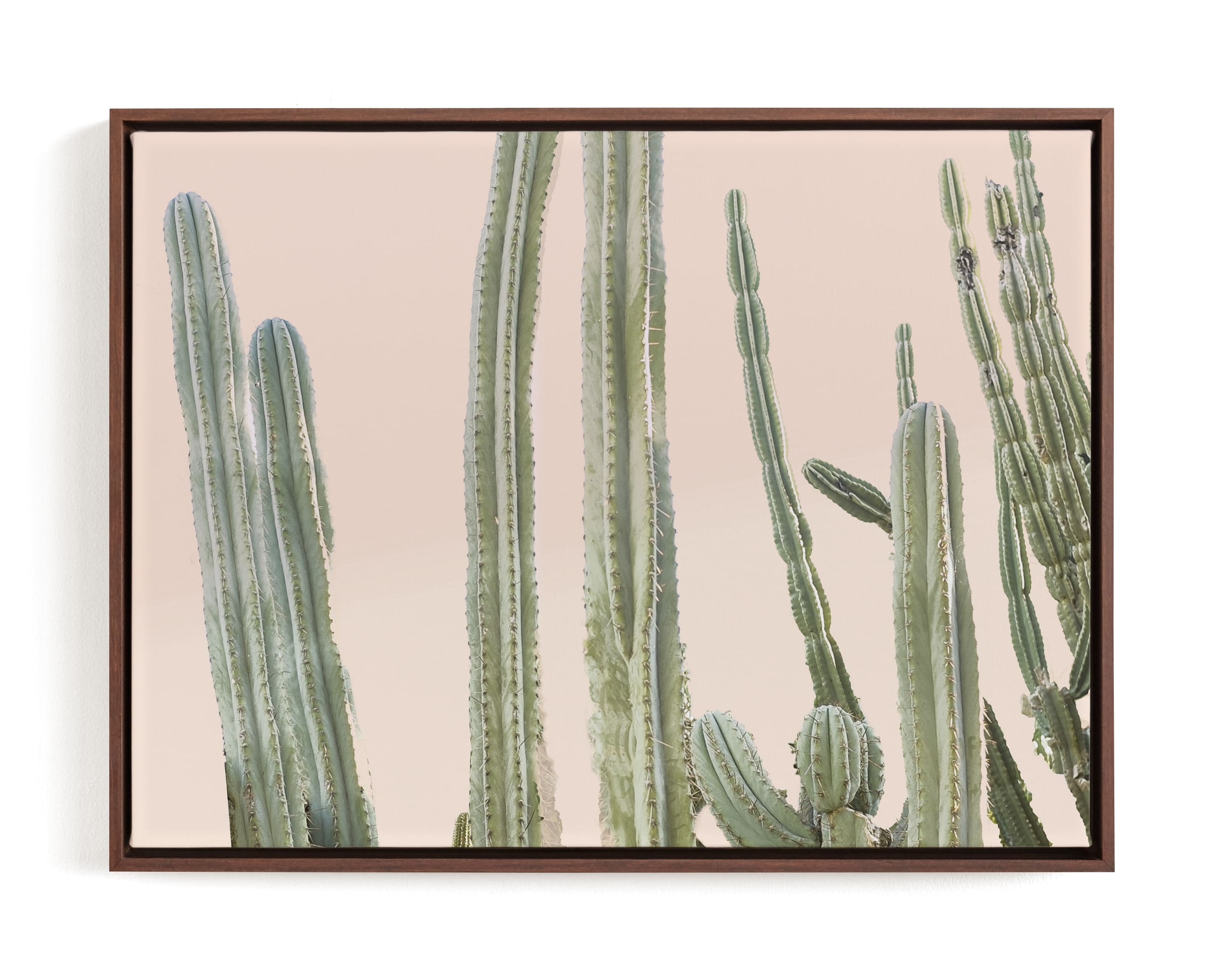 Peachy Cactus Print Art Print - Image 0