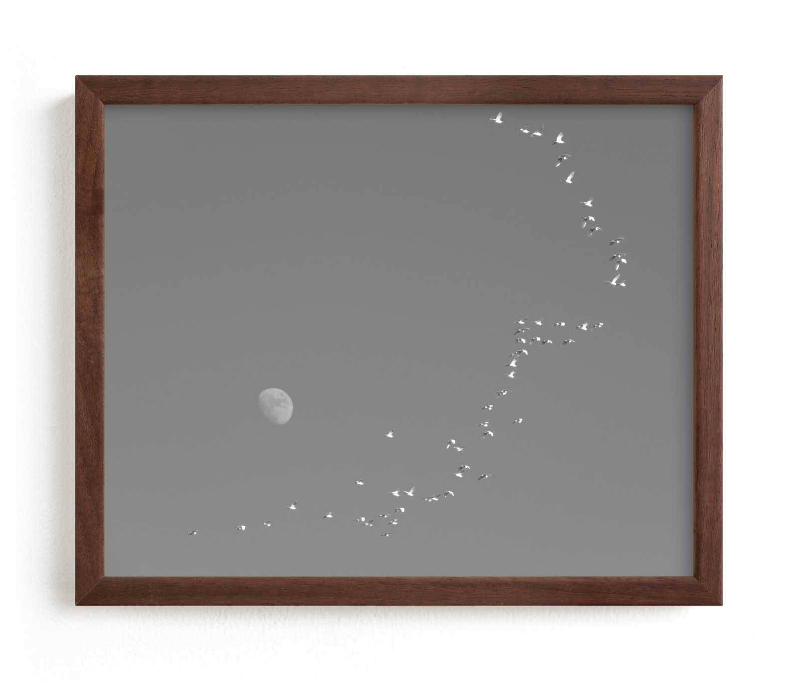 Flight And Hike I Open Edition Fine Art Print - Image 0