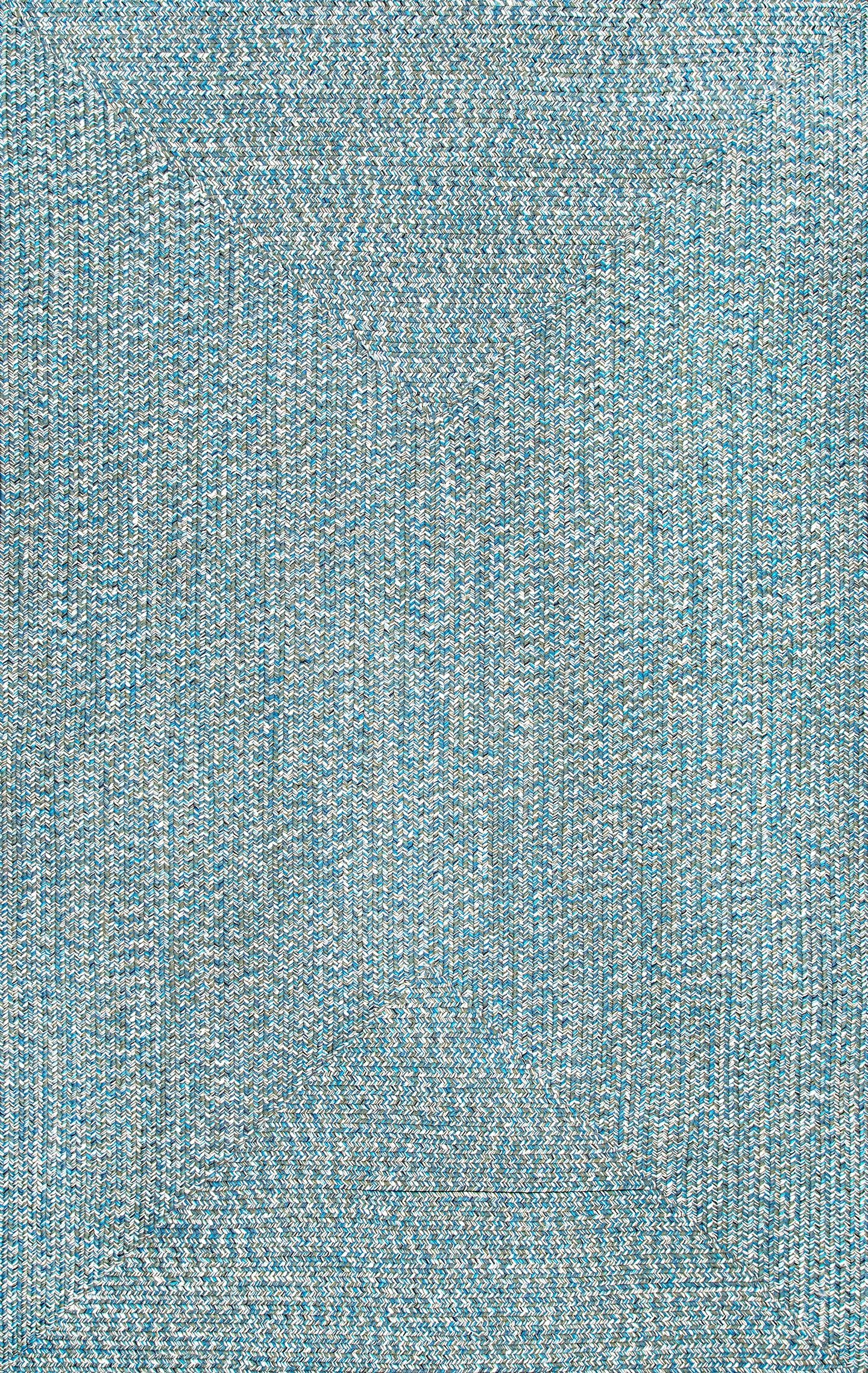 Braided Lefebvre Indoor/Outdoor Area Rug - Image 1