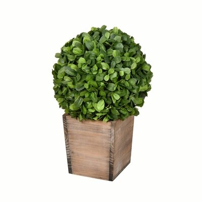 Artificial Boxwood Topiary in Pot - Image 0