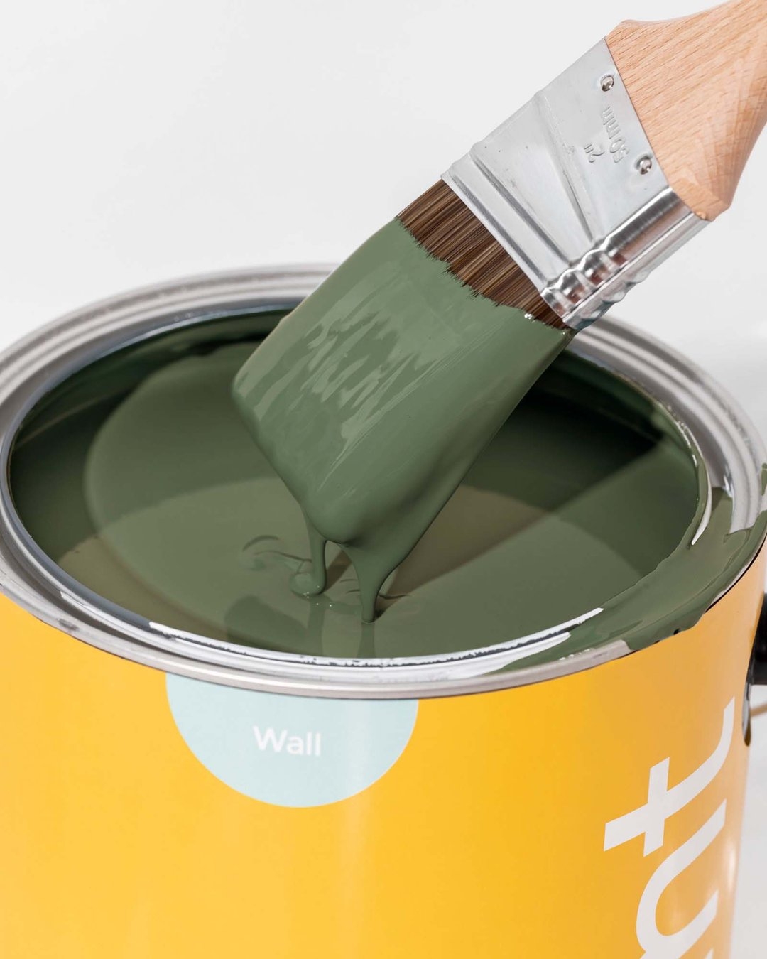 Clare x Pinterest: Daily Greens, Wall Paint Eggshell, Gallon - Image 1