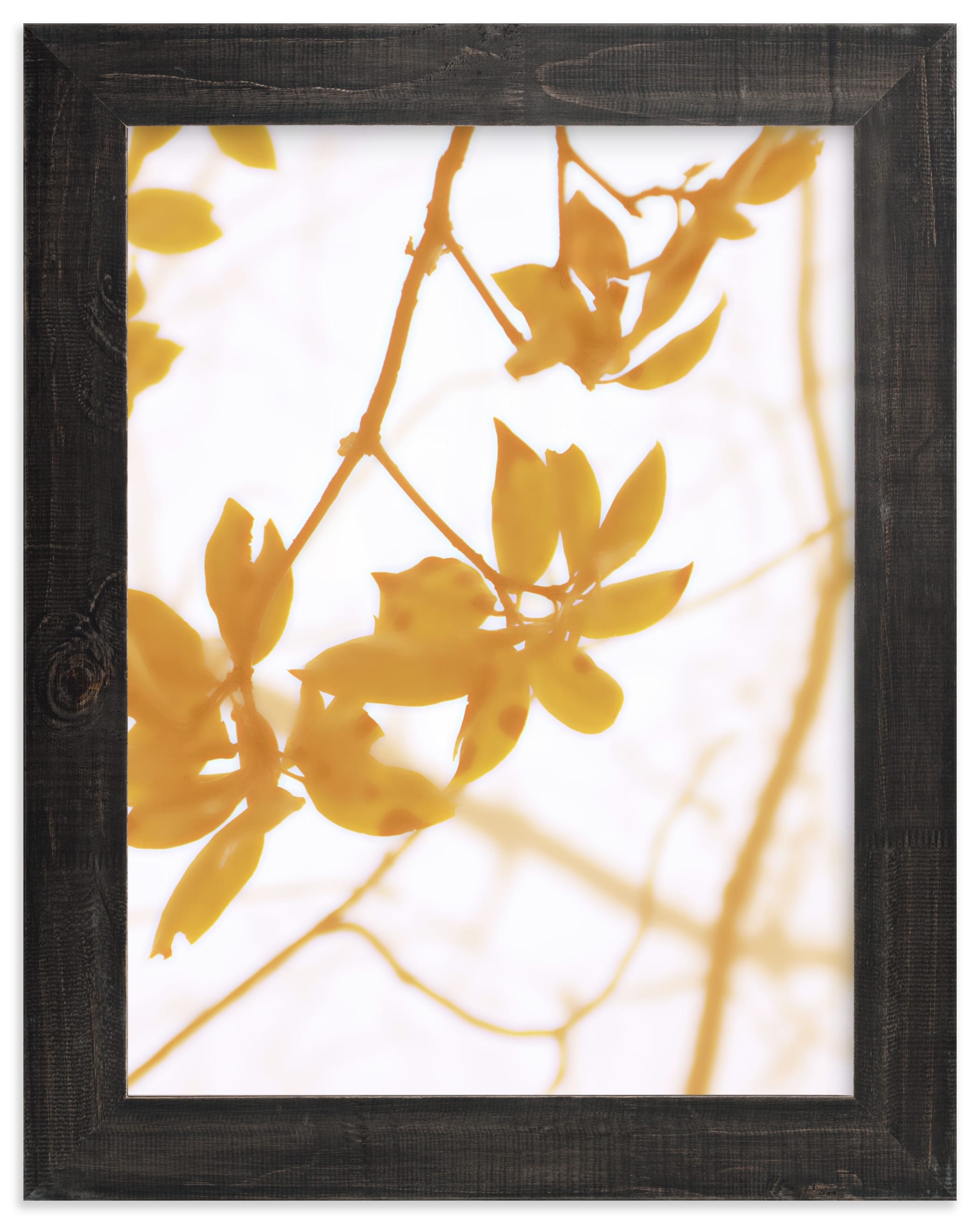 Morning I Limited Edition Fine Art Print 2 - Image 0