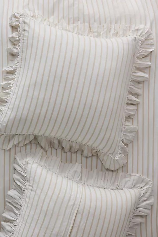 Organic Cotton Spa Sateen Ruffled Euro Sham - Image 0