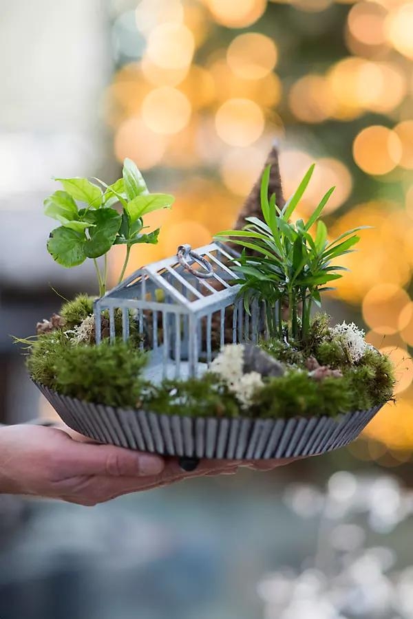 Habit & Form Tart Plant Tray, Distressed - Image 0