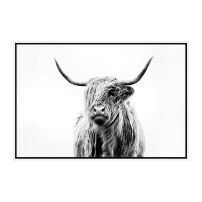 'Portrait of a Highland Cow' by Dorit Fuhg - Painting Print - Image 0