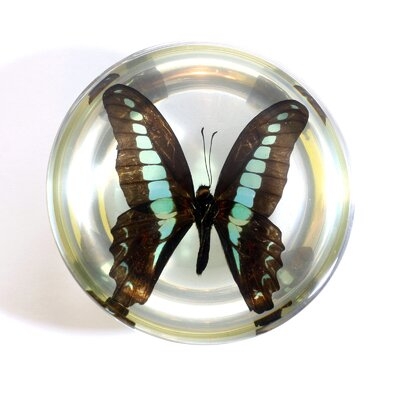 Ramer Butterfly Dome Paperweight - Image 0