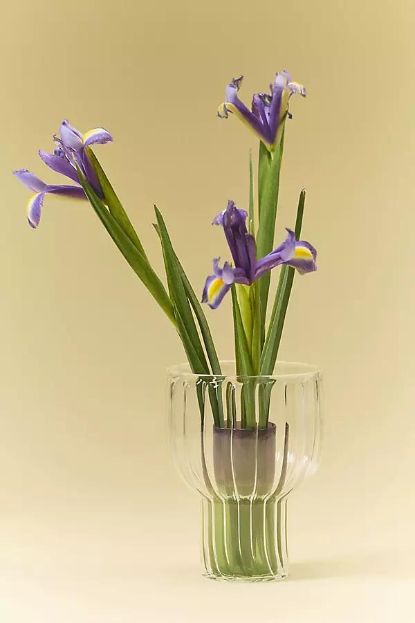 Lucia Neon Glass Vase - Image 0