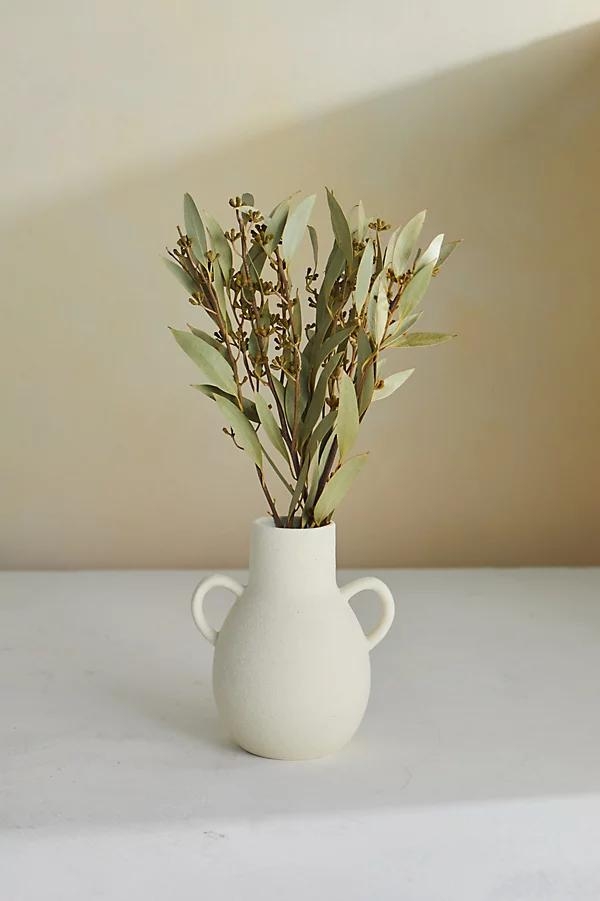 Dried Amber Fruit Bunch - Image 0