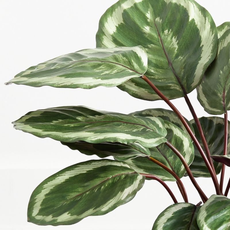Faux Potted Calathea Medallion 24" - Image 2
