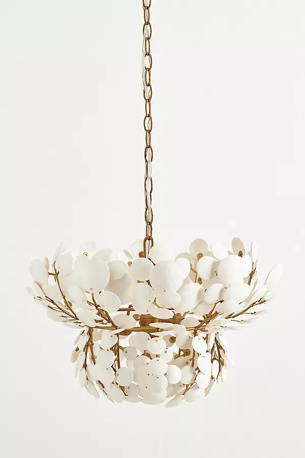 Bilal Small Coconut Chandelier - Image 0