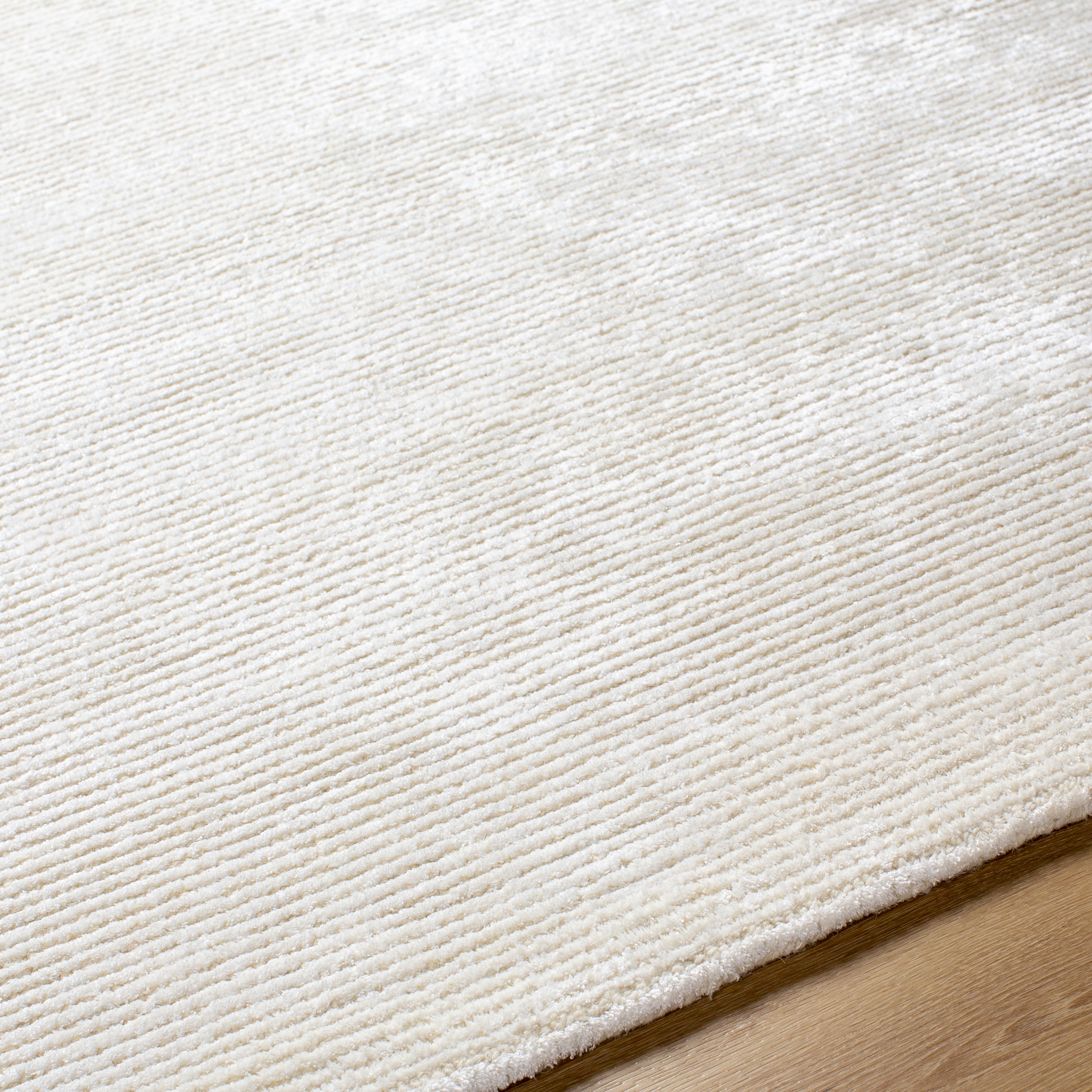 Richmond Beige Indoor 2' x 3' Handmade Rug - Image 3