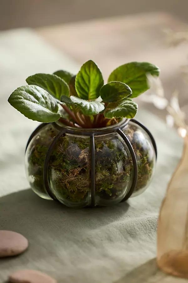 Iron + Glass Bubble Vessel - Image 0