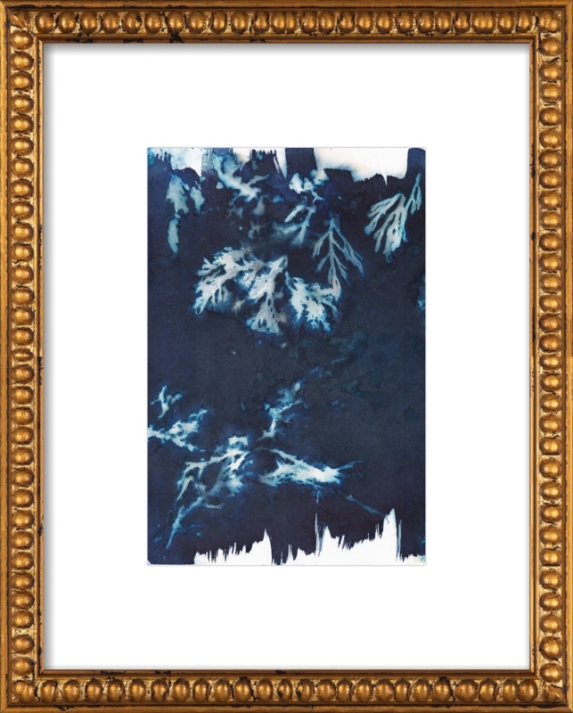 The Secret Life of Rockpools No. 62/100 by Desiree Elizabeth Malan for Artfully Walls - Image 0