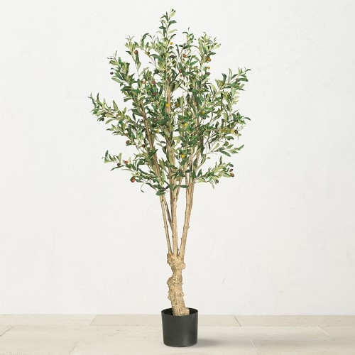 Silk Olive Tree, 60" - Image 0