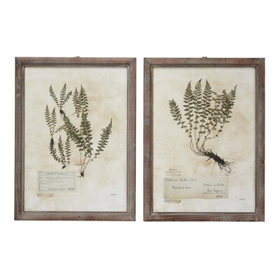 Large, Rectangular French Vintage Botanical Prints In Natural Wood Frames, Set Of 2: 20.5" X 27.5" Each - Picture Frame Drawing Print Set on Wood - Image 0