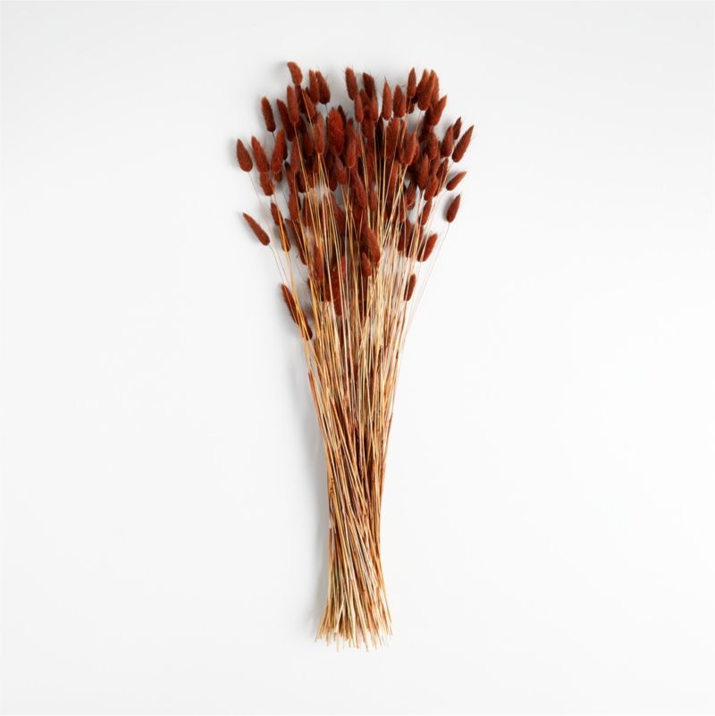 Dried Rust Bunny Tail Bunch - Image 2