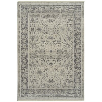 Apollonie Power Loom Gray/Charcoal/Silver Rug - Image 0