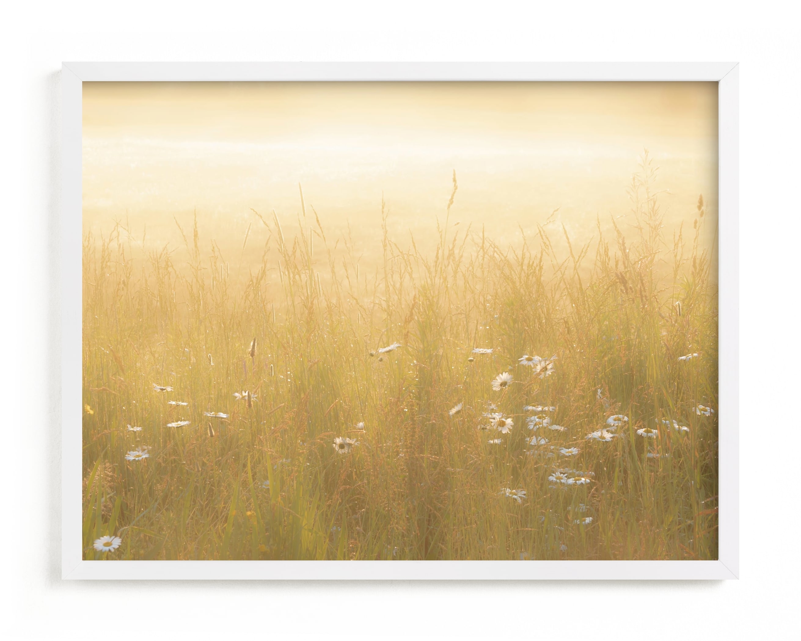 Golden Meadow Limited Edition Fine Art Print 2 - Image 0