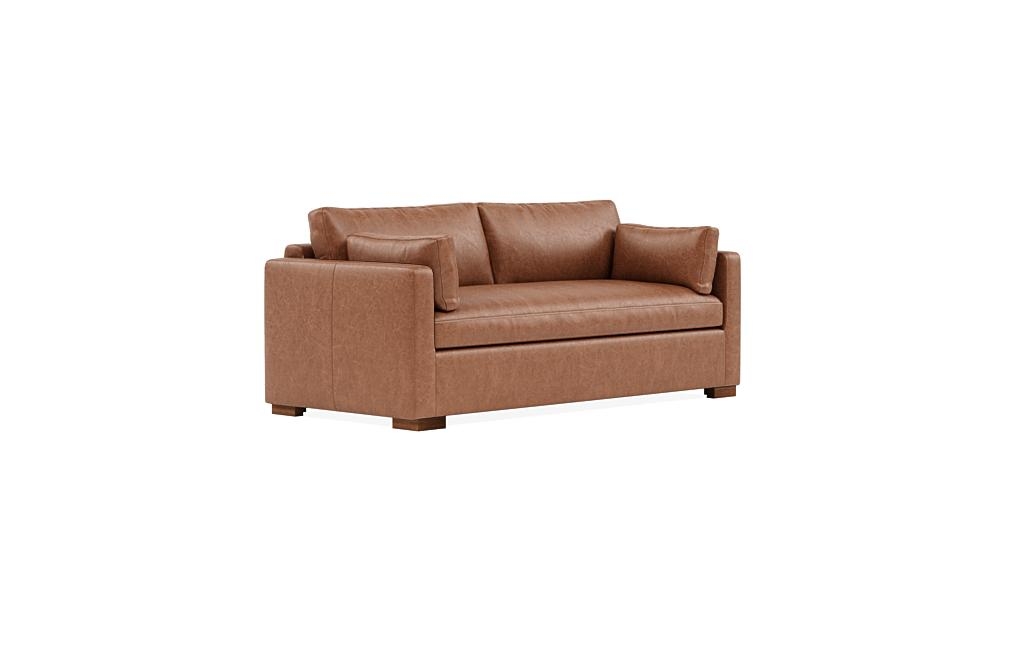 Charly Leather Sleeper Sofa - Image 1