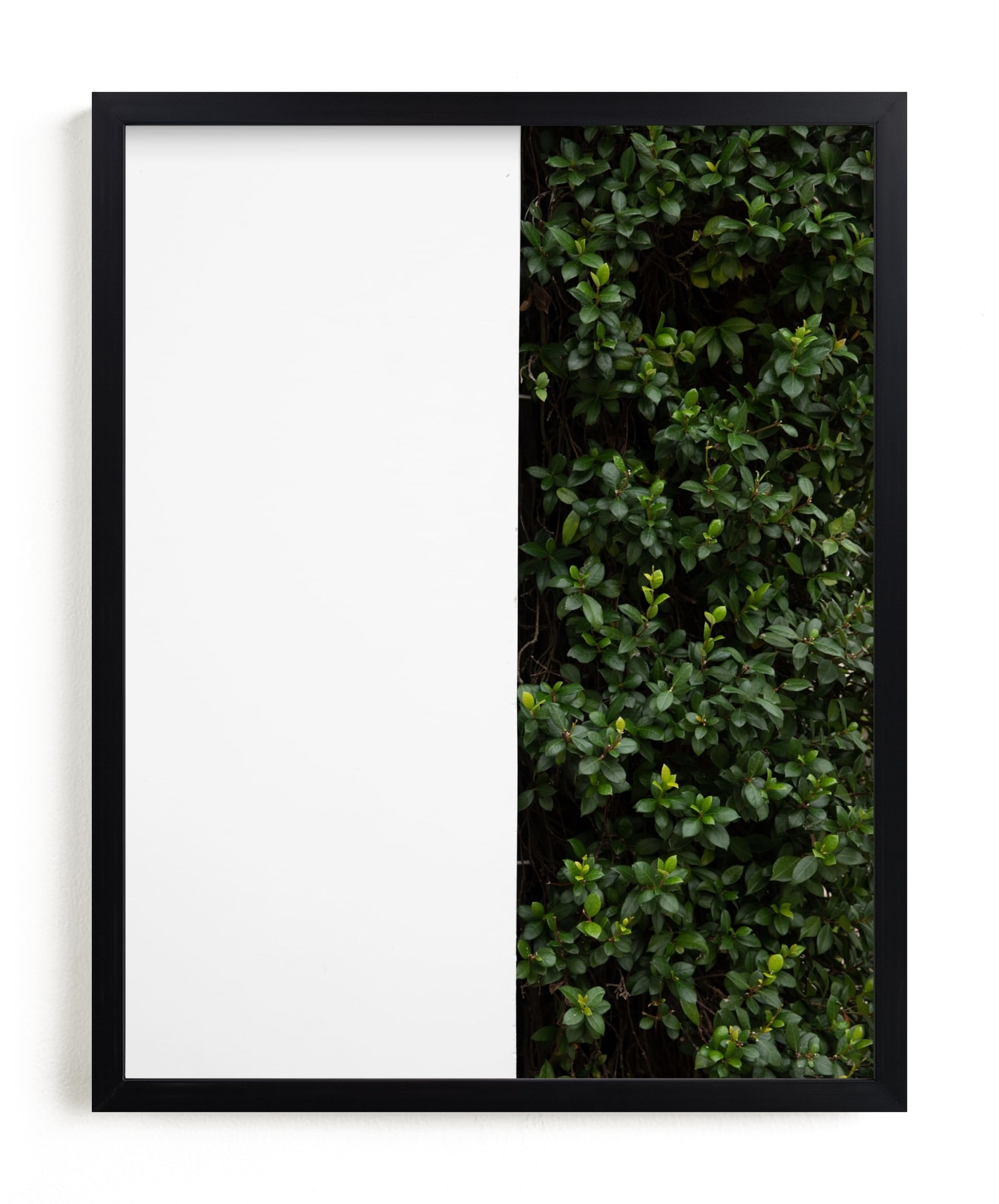 Verdant Garden III Limited Edition Fine Art Print 2 - Image 0