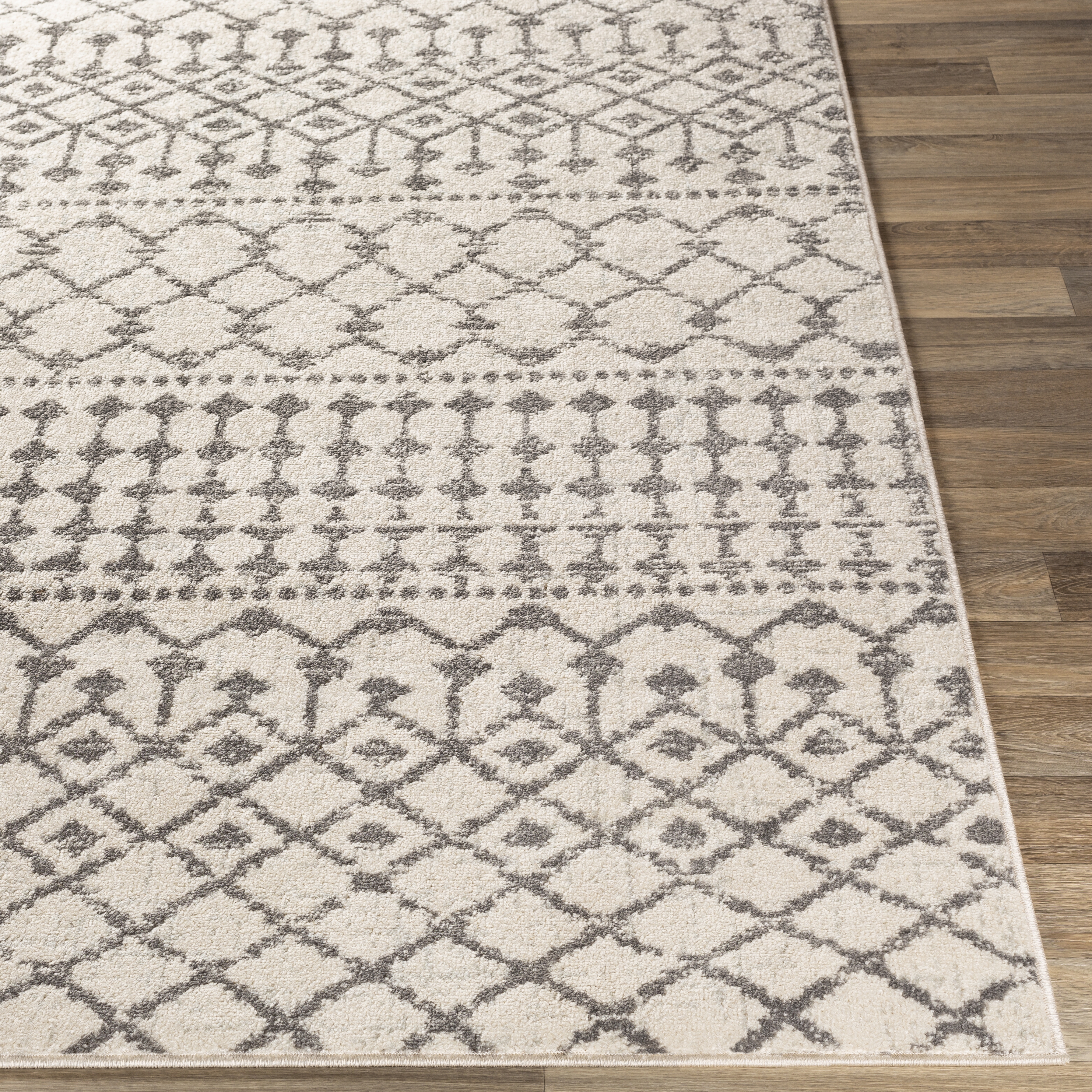 Chester Rug, 8'10" x 12' - Image 2