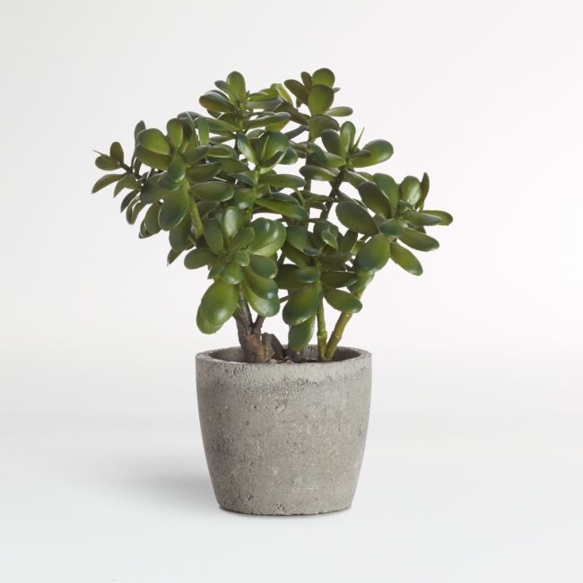 Potted Faux Jade Plant - Image 0
