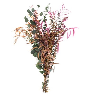 30'' Preserved Eucalyptus Branch - Image 0